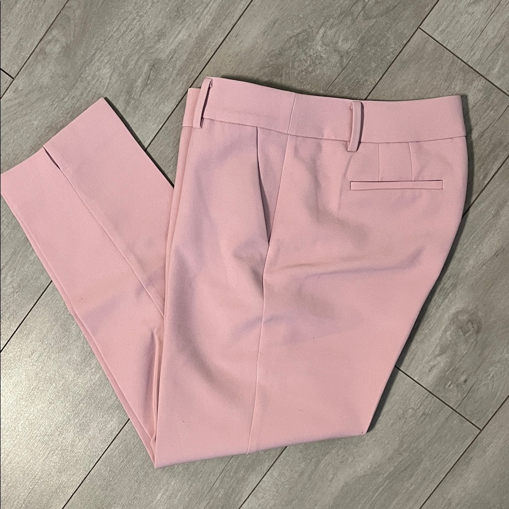 TALBOTS NWOT Hampshire Double Cloth Straight Ankle Pant ROSE Pink, Size 10